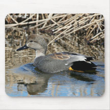 Canard chipeau Drake Tapis De Souris