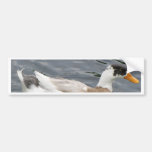 Canard dans l'eau adhésifs pour voiture