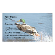 Canard de Mallard Modèle De Carte De Visite