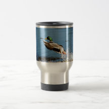 Canard de Mallard Mug