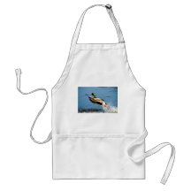 Canard de Mallard Tabliers