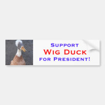 Canard de perruque de soutien adhésifs pour voiture