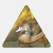 Canard en bois et Koi Fish.jpg Autocollants