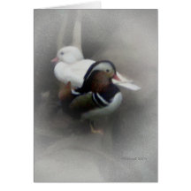 Canard et ami de mandarine… cartes de vœux