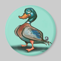 Canard magnets