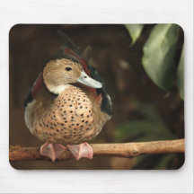 Canard Mousepad Tapis De Souris