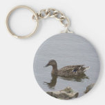 CANARD PORTE-CLÉ