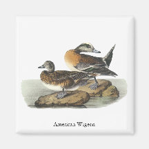 Canard siffleur américain, John Audubon Magnets