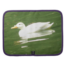 Canard sur le folio de Rickshaw de l'eau Agenda Folio