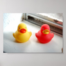 Canards Affiche