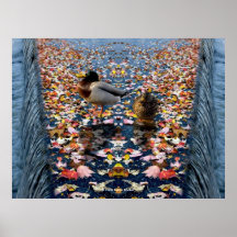 Canards d'automne poster