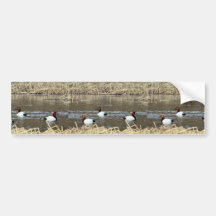 Canards de Canvasback Autocollant Pour Voiture