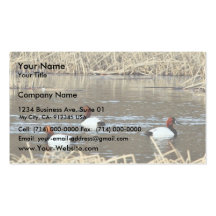 Canards de Canvasback Carte De Visite