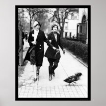 Canards de marche à Washington, dc 1926 Posters