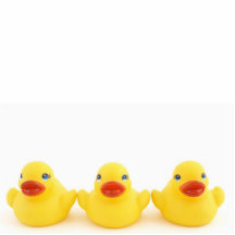 Canards en caoutchouc jaunes photo en découpe