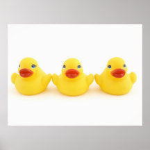 Canards en caoutchouc jaunes posters