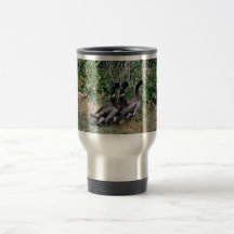 Canards Tasse