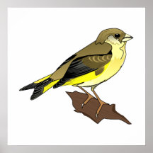 Canari de cerise posters