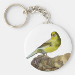 Canari de rouleau porte-clés