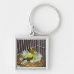 Canari d'emboîtement porte-clés