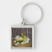 Canari d'emboîtement porte-clés
