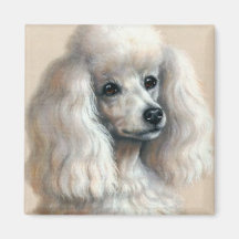 Caniche blanc aimants pour réfrigérateur
