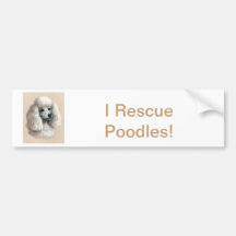 Caniche blanc autocollant pour voiture