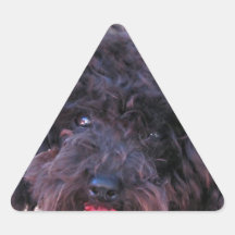 Caniche miniature de jouet autocollants