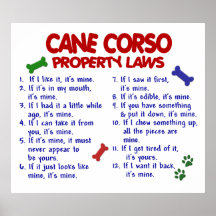 CANNE CORSO PL2 POSTER
