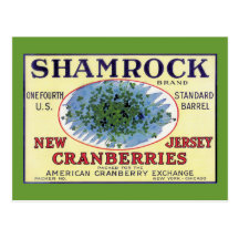 Canneberge irlandaise de New Jersey de shamrock Carte Postale