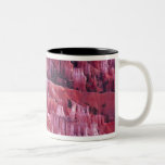 Canyon de Bryce, Utah, Etats-Unis Mugs