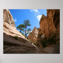 Canyon du Nouveau Mexique Posters
