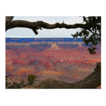 Canyon grand carte postale