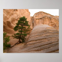 Canyon Nouveau Mexique Posters