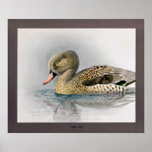 Cap Teal Posters