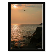 Cape May Carte Postale