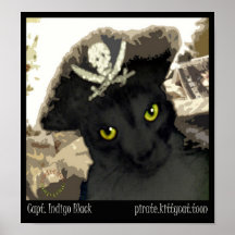 Capitaine Indigo Black Affiche