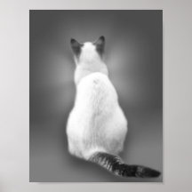 Capitaine Posters