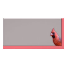 Cardinal Cartes Avec Photo