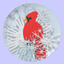 Cardinal rouge en étoiles de neige assiettes
