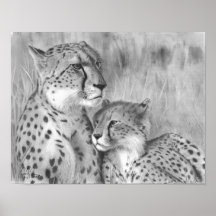 Caresse Posters