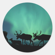 Caribou Autocollants Ronds
