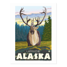 Caribou dans le sauvage - Latouche, Alaska Cartes Postales