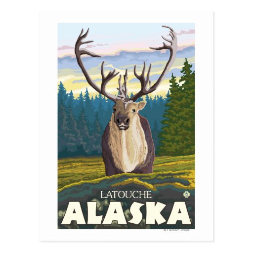 Caribou dans le sauvage - Latouche, Alaska Cartes Postales
