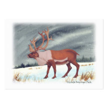 Caribou Modèles De Cartes De Visite