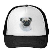 Carlin Casquettes De Camionneur