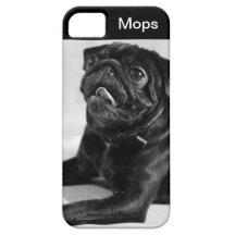 Carlin Coques Case-Mate iPhone 5