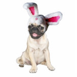 carlin de lapin de Pâques Découpages En Acrylique