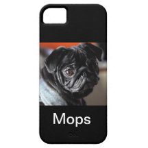 Carlin iPhone 5 Case