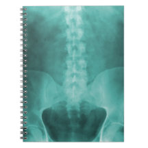 Carnet d'art de rayon X de Digitals d'Aqua